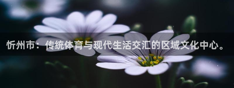 bbin视讯游戏官网