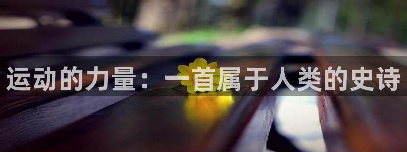 bbin视讯下
