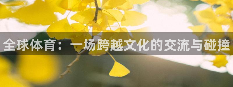 bbin视讯游戏官网