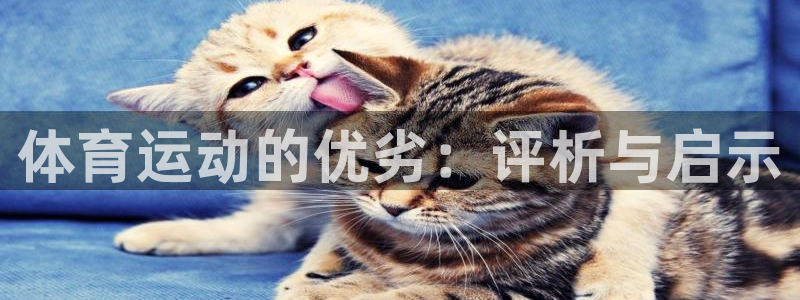 bbin视讯游戏官网