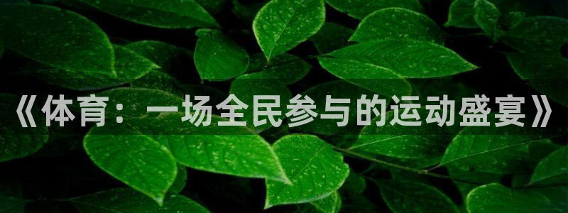 bbin视讯游戏官网