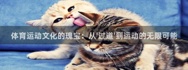 bbin视讯